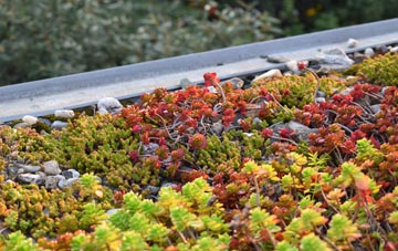 the cost of Bryn Bwbach green roof installation
