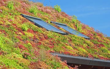Bryn Bwbach living roof systems